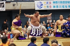 横綱照ノ富士の土俵入り