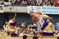 横綱照ノ富士の土俵入り